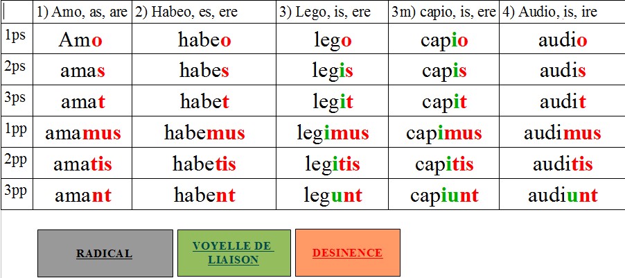 exercices plus que parfait latin